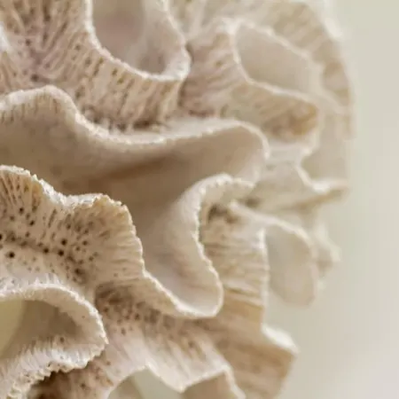 3br Premium Skyline Penthouse W Ac By Nw *